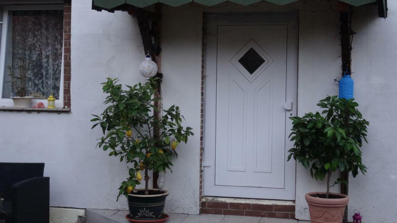 Pension Und Gaestehaus Paffrath Grossbrembach 외부 사진