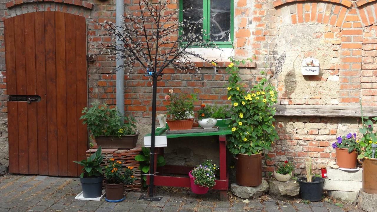 Pension Und Gaestehaus Paffrath Grossbrembach 외부 사진